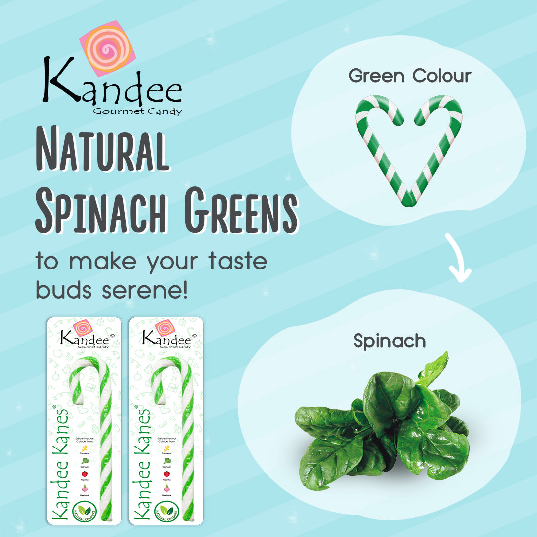 Kandee Kane - Watermelon Twist - 5.5" - Set of 12 Candy Canes