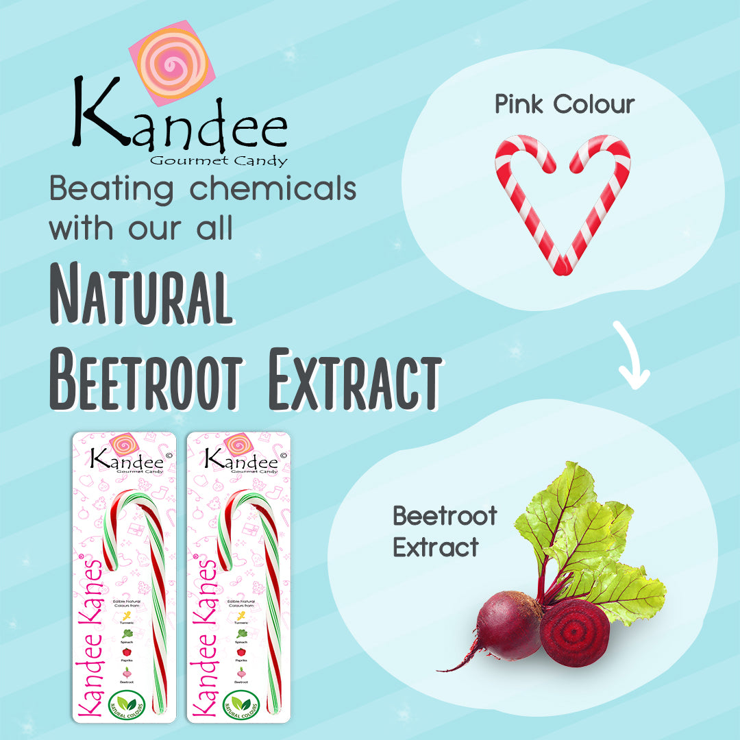 Kandee Kane - Peppermint Drizzle - 5.5" - Set of 12 Candy Canes