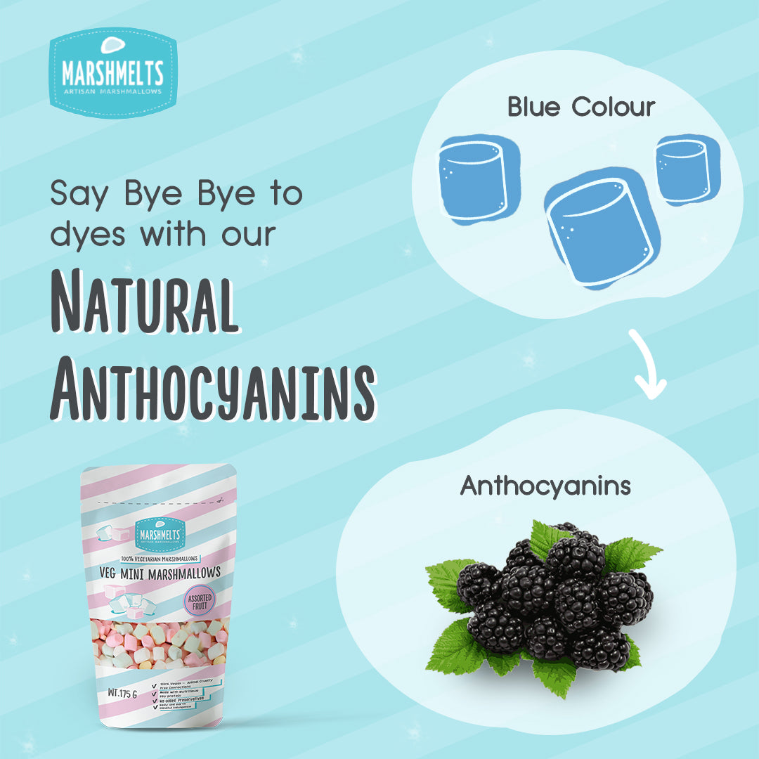 VEG MINI MARSHMALLOWS ASSORTED FRUIT-250g